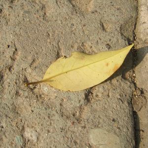 日本人玩胸吃乳30分钟
